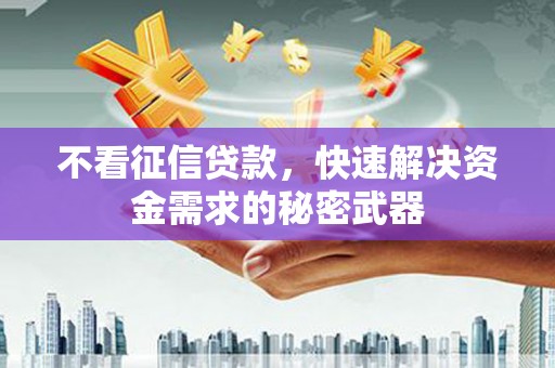 大湖不看征信贷款，快速解决资金需求的秘密武器