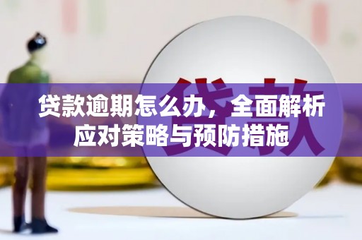 大湖贷款逾期怎么办，全面解析应对策略与预防措施