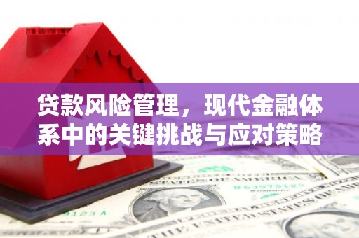 大湖贷款风险管理，现代金融体系中的关键挑战与应对策略