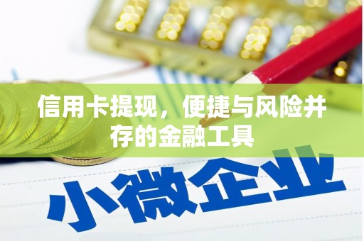 大湖信用卡提现，便捷与风险并存的金融工具