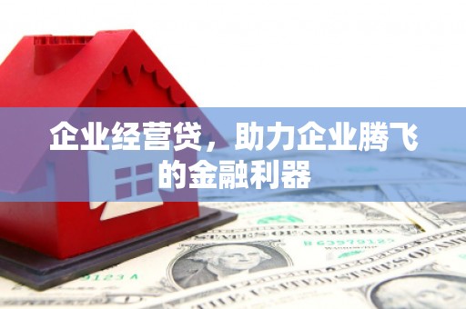 大湖企业经营贷，助力企业腾飞的金融利器