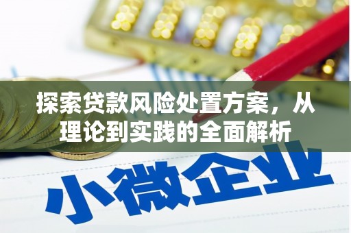 大湖探索贷款风险处置方案，从理论到实践的全面解析