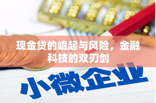 大湖现金贷的崛起与风险，金融科技的双刃剑