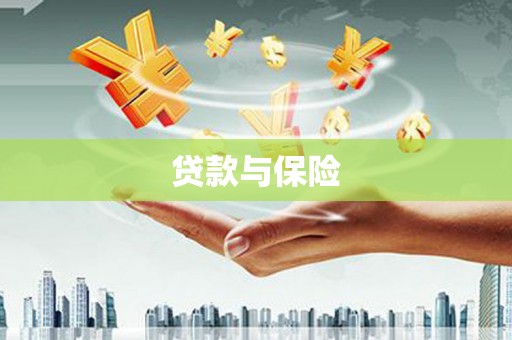 大湖贷款与保险