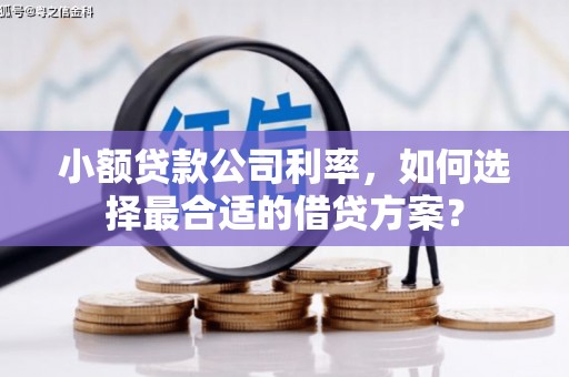 大湖小额贷款公司利率，如何选择最合适的借贷方案？
