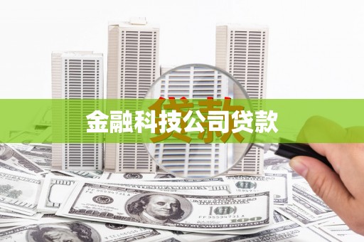 大湖金融科技公司贷款