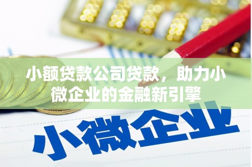 大湖小额贷款公司贷款，助力小微企业的金融新引擎