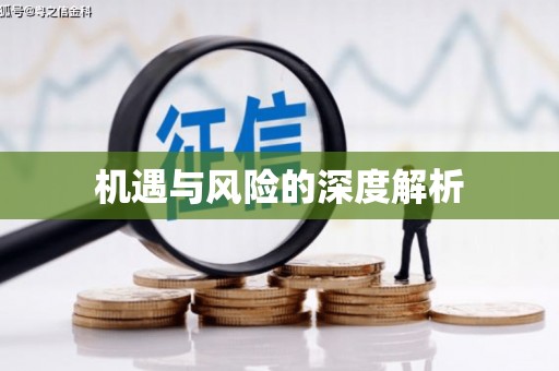 大湖机遇与风险的深度解析