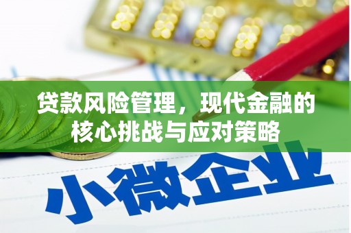 大湖贷款风险管理，现代金融的核心挑战与应对策略