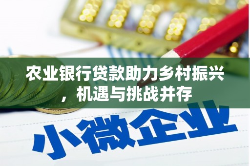 大湖农业银行贷款助力乡村振兴，机遇与挑战并存
