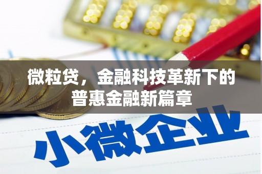 大湖微粒贷，金融科技革新下的普惠金融新篇章