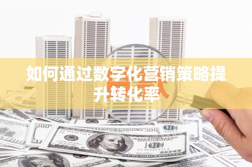 大湖如何通过数字化营销策略提升转化率