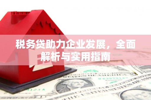 大湖税务贷助力企业发展，全面解析与实用指南