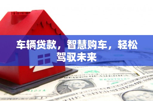 大湖车辆贷款，智慧购车，轻松驾驭未来