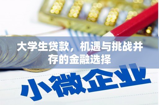 大湖大学生贷款，机遇与挑战并存的金融选择
