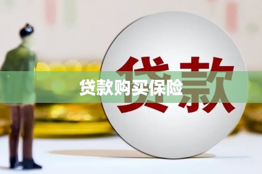 大湖贷款购买保险