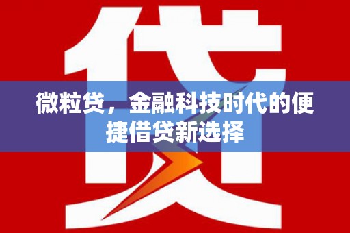 大湖微粒贷，金融科技时代的便捷借贷新选择