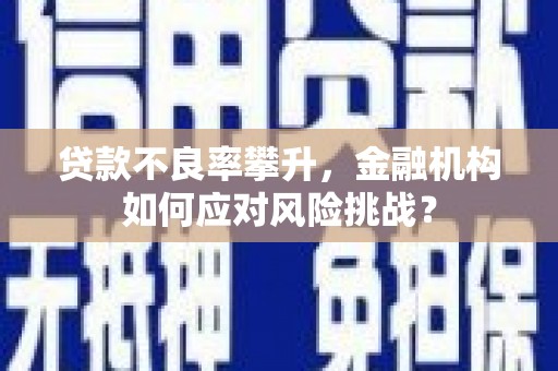 大湖贷款不良率攀升，金融机构如何应对风险挑战？