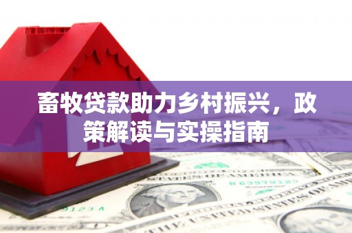 大湖畜牧贷款助力乡村振兴，政策解读与实操指南