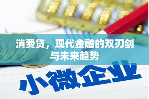 大湖消费贷，现代金融的双刃剑与未来趋势