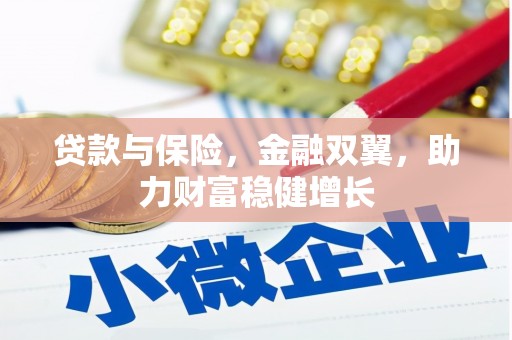 大湖贷款与保险，金融双翼，助力财富稳健增长