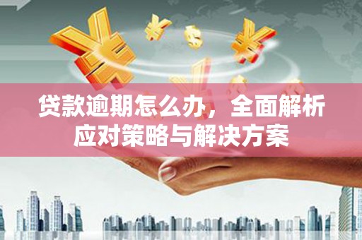 大湖贷款逾期怎么办，全面解析应对策略与解决方案