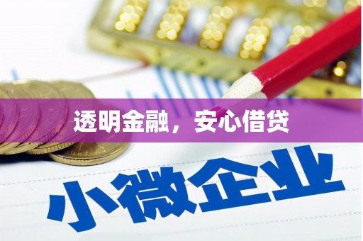 大湖透明金融，安心借贷