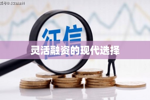 大湖灵活融资的现代选择