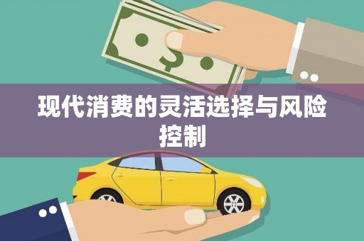 大湖现代消费的灵活选择与风险控制