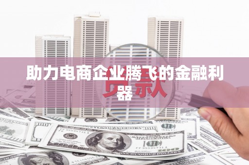 大湖助力电商企业腾飞的金融利器