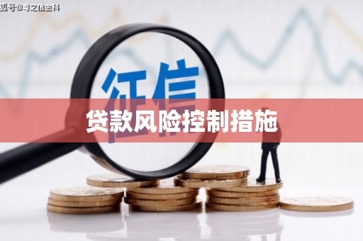 大湖贷款风险控制措施