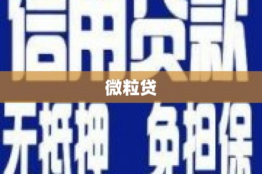 大湖微粒贷
