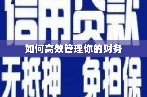 大湖如何高效管理你的财务