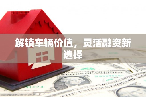 大湖解锁车辆价值，灵活融资新选择