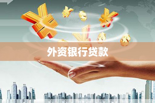 大湖外资银行贷款