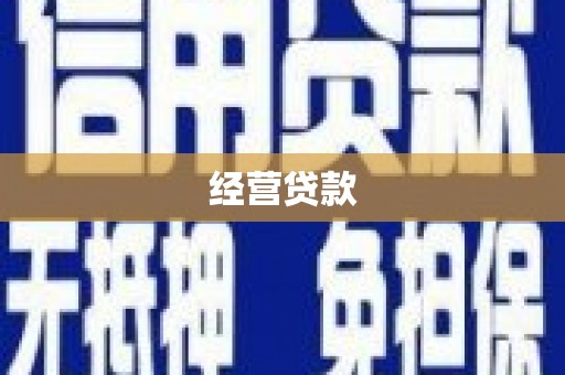 大湖经营贷款