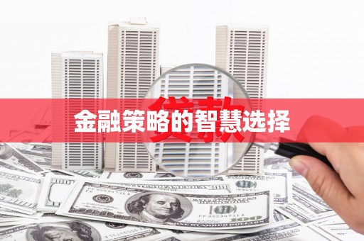 大湖金融策略的智慧选择