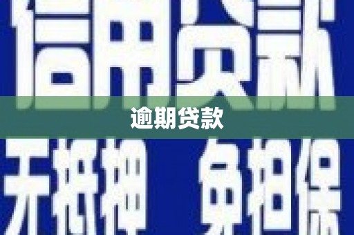 大湖逾期贷款
