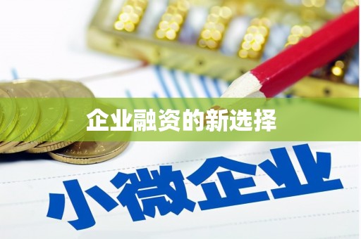 大湖企业融资的新选择