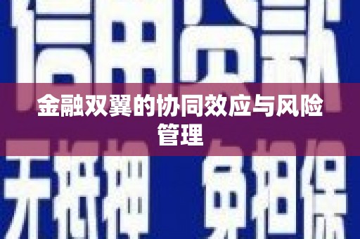 大湖金融双翼的协同效应与风险管理