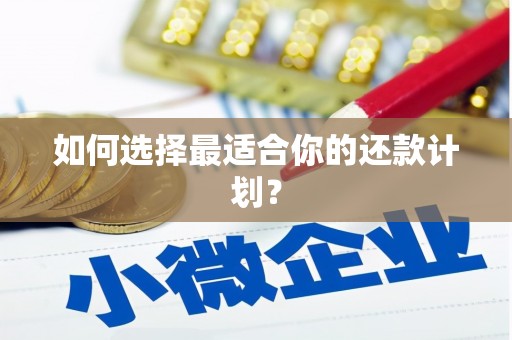 大湖如何选择最适合你的还款计划？