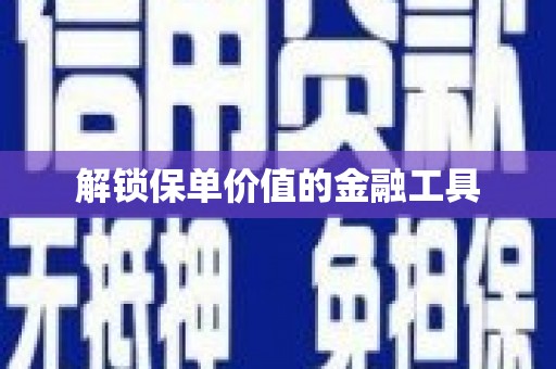 大湖解锁保单价值的金融工具