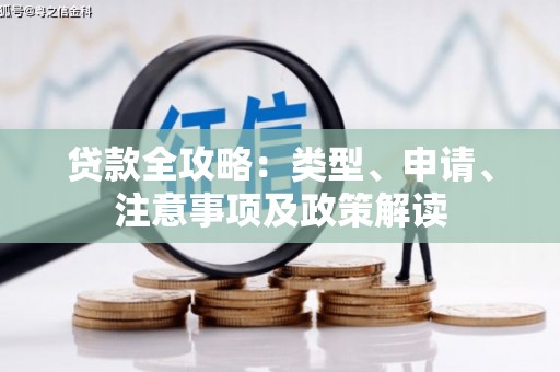 大湖贷款全攻略：类型、申请、注意事项及政策解读