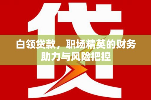 大湖白领贷款，职场精英的财务助力与风险把控